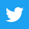 Twitter_Logo_WhiteOnBlue-300x300.png