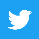 Twitter_Logo_WhiteOnBlue-300x300.png